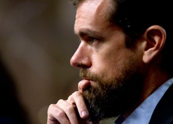 twitter-stock-hits-high-on-new-revenue,-user-goals