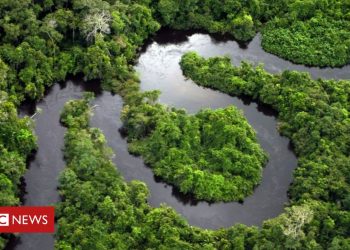 amazon-rainforest-plots-sold-via-facebook-marketplace-ads