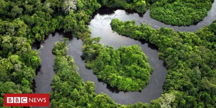 amazon-rainforest-plots-sold-via-facebook-marketplace-ads