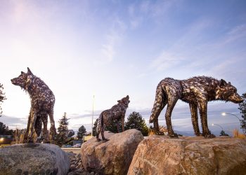 indigenous-awareness-week-goes-virtual-in-2021