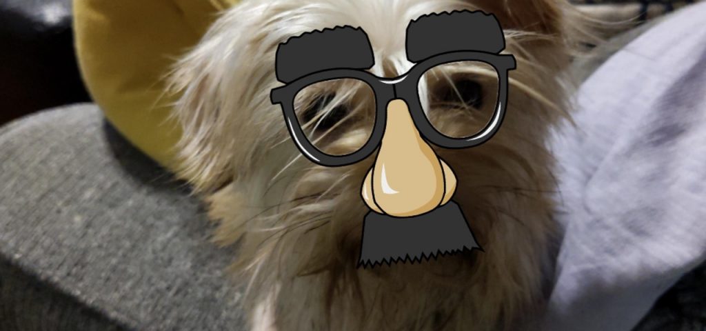 your-cats-&-dogs-can-join-in-your-ar-antics-with-these-pet-friendly-snapchat-lenses