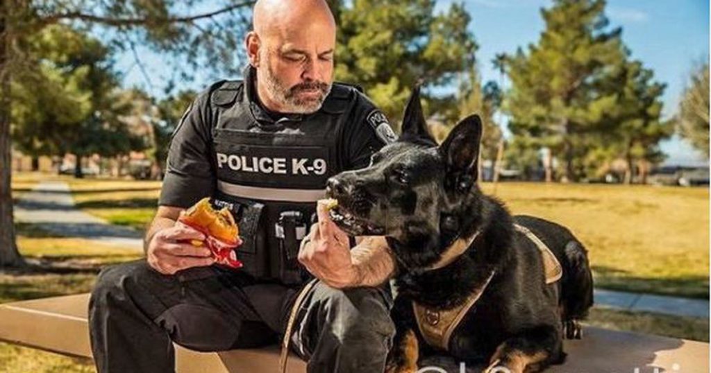 instagram-famous-alpharetta-police-k-9-retiring-from-service