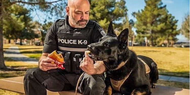 instagram-famous-alpharetta-police-k-9-retiring-from-service