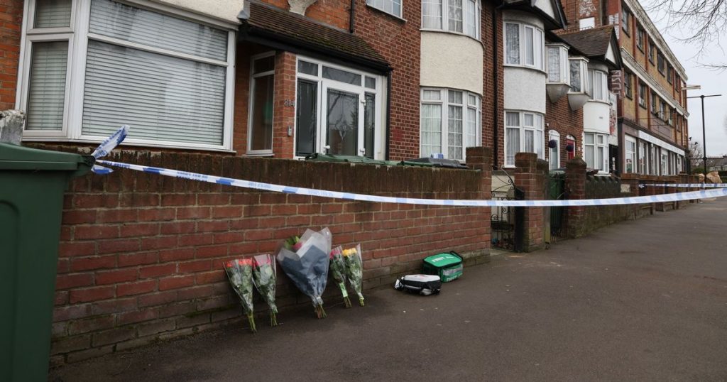 walthamstow-stabbing:-law-student,-18,-stabbed-to-death-sent-friend-snapchat-of-clothes-he-was-…