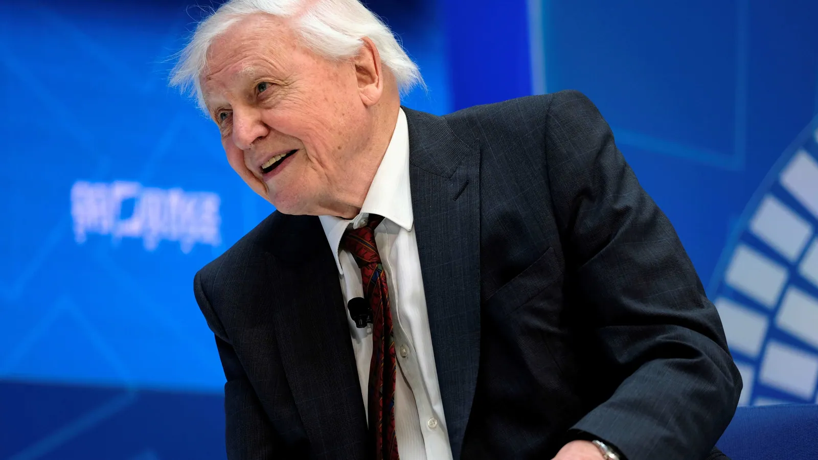 sir-david-attenborough's-reassuring-reply-to-4-year-old-boy-wins-twitter