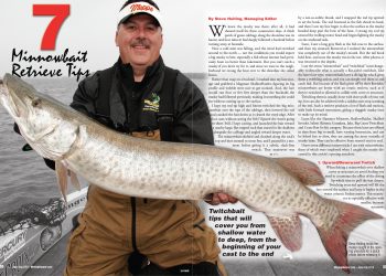 7-retrieve-tips-for-minnowbaits