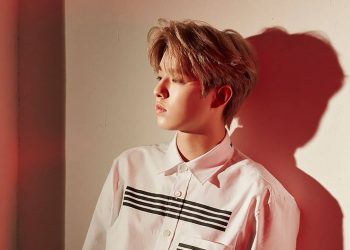 k-pop-star-jae-park-shuts-down-twitch-account-after-simulating-oral-sex-on-his-'sugar-daddy'