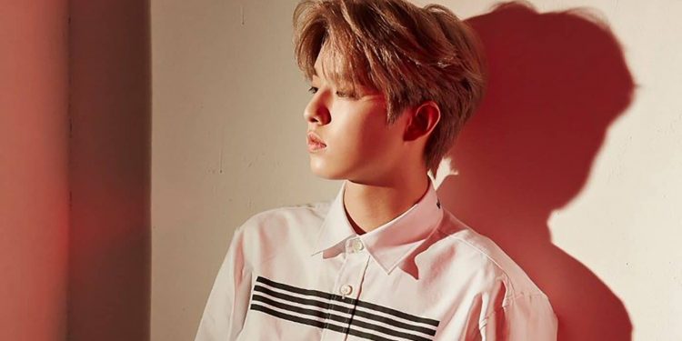 k-pop-star-jae-park-shuts-down-twitch-account-after-simulating-oral-sex-on-his-'sugar-daddy'
