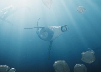 short-film-transforms-plastic-waste-into-sea-life