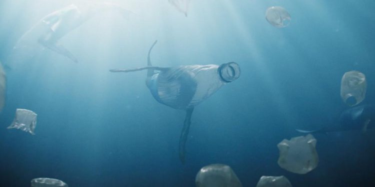 short-film-transforms-plastic-waste-into-sea-life