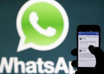udf-takes-whatsapp-route-for-public-connect