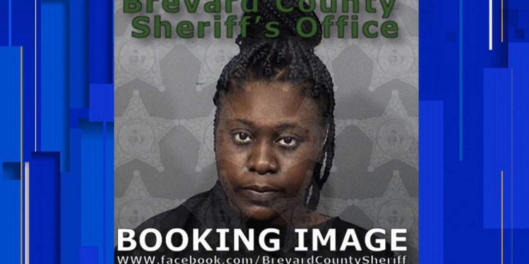 woman-flees-traffic-stop,-later-comments-on-facebook-about-attempted-arrest,-titusville-police-say