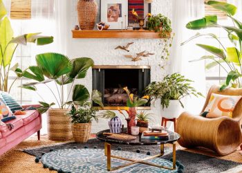 how-instagram's-algorithm-might-be-limiting-your-interior-design