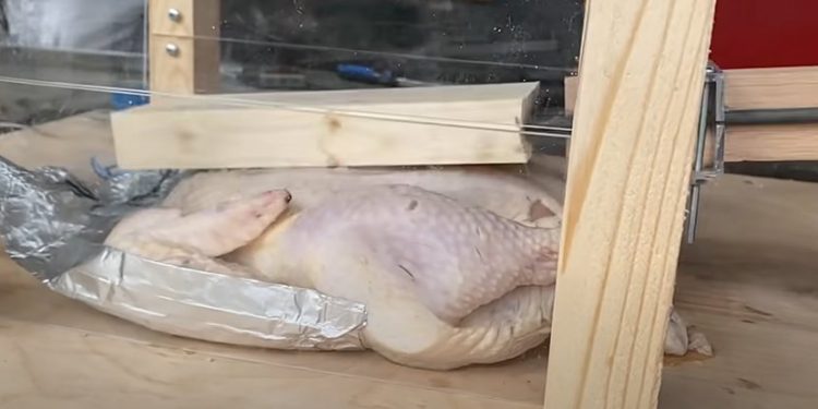 this-guy-on-youtube-actually-cooked-meat-by-slapping-it…-a-lot