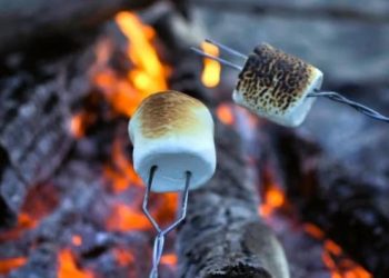 'roasting-marshmallows'-a-roast-of-whiteness-(not-white-people)-on-clubhouse-–-sunday-8pm-est.