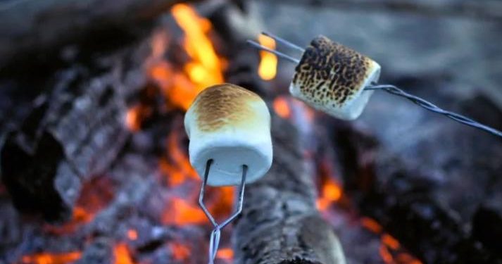 'roasting-marshmallows'-a-roast-of-whiteness-(not-white-people)-on-clubhouse-–-sunday-8pm-est.