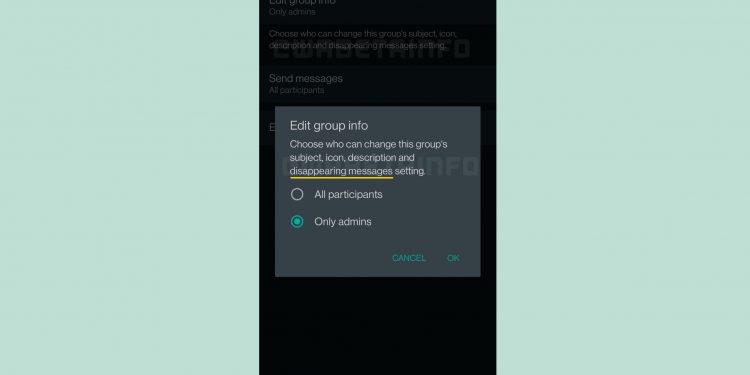 whatsapp-to-grant-group-members-the-access-to-control-disappearing-messages-in-group-chats