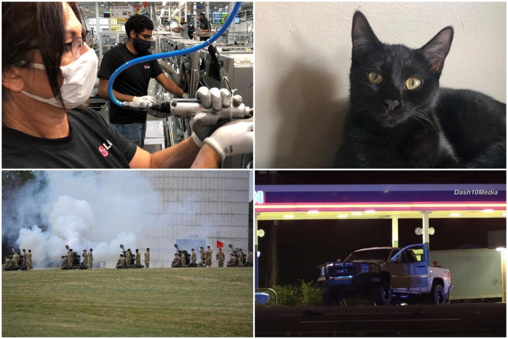 news-in-clarksville:-cat-injury,-lg-jobs,-pedestrian-deaths-and-other-top-stories-this-week
