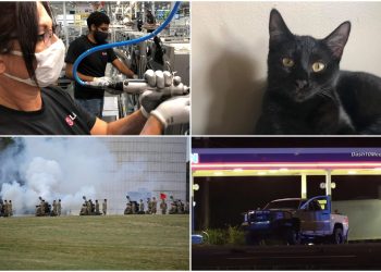 news-in-clarksville:-cat-injury,-lg-jobs,-pedestrian-deaths-and-other-top-stories-this-week