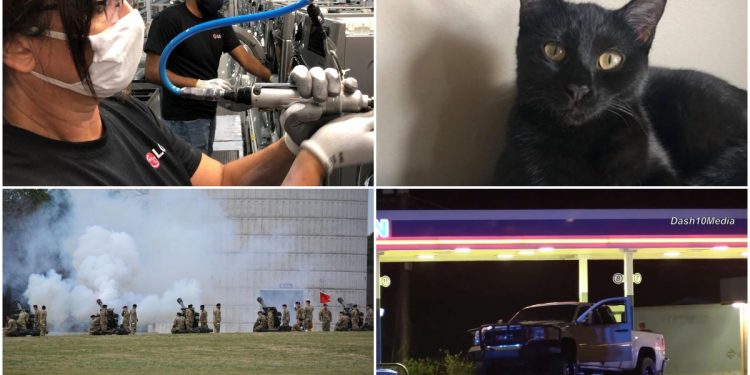 news-in-clarksville:-cat-injury,-lg-jobs,-pedestrian-deaths-and-other-top-stories-this-week