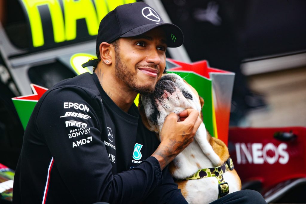 lewis-hamilton's-adorable-bulldog-has-nearly-300000-followers-on-instagram