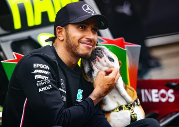 lewis-hamilton's-adorable-bulldog-has-nearly-300000-followers-on-instagram