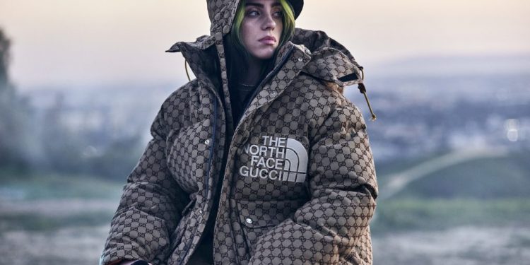 billie-eilish's-instagram-following-grew-by-millions-in-just-a-few-weeks