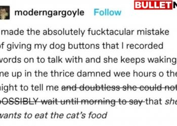 tumblr-thread:-teaching-dog-to-speak-using-buttons-with-recorded-words