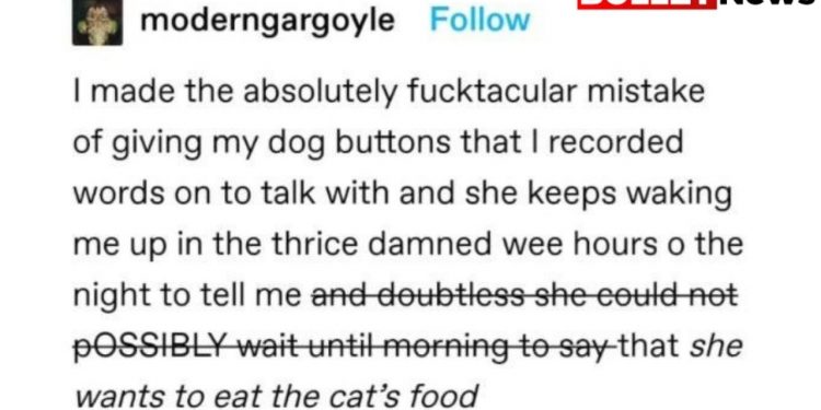 tumblr-thread:-teaching-dog-to-speak-using-buttons-with-recorded-words