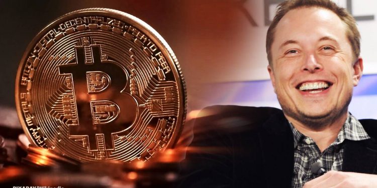 twitter-flooded-with-meme-and-jokes-as-bitcoin-price-further-plunges-after-elon-musk's-tweet