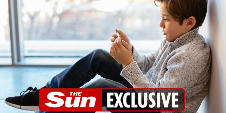 millions-of-kids-exposed-to-harmful-content-online-because-social-media-bosses-fail-to-enforce-their-…