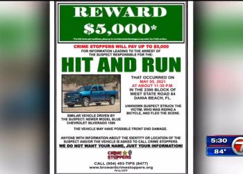 bso-identifies-pickup-truck-involved-in-hit-and-run-that-killed-mother-in-dania-beach;-family-…