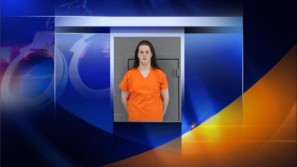 maryland-teen-extradited-to-wv-on-internet-child-sex-charges,-victim-was-9-year-old-from-randolph-…