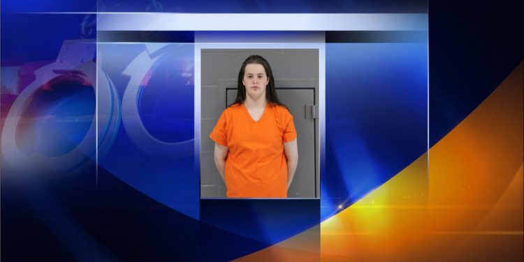 maryland-teen-extradited-to-wv-on-internet-child-sex-charges,-victim-was-9-year-old-from-randolph-…