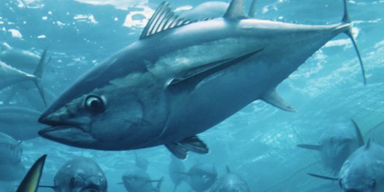 6-eye-opening-eco-documentaries-on-discovery+,-netflix,-and-youtube-you-need-to-watch-now