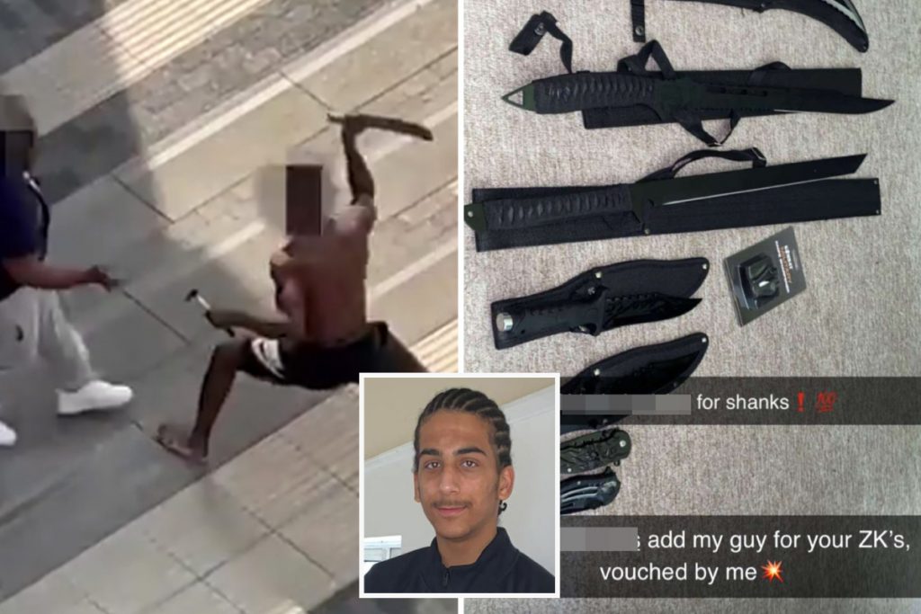 my-son-was-murdered-by-a-zombie-knife-–-now-the-deadly-weapons-are-being-sold-to-kids-on-…