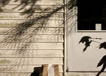 is-it-from-tumblr?-delivery-driver-clicks-photo-of-the-box-for-confirmation,-perfect-photo-wins-the-…
