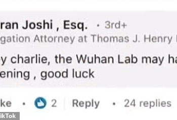 texas-lawyer-has-been-accused-of-racist-comments-on-tesla's-asian-employee-linkedin-post