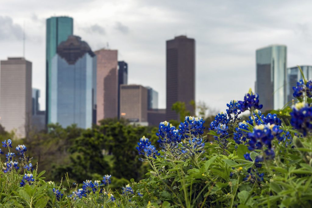 don't-let-one-guy-on-twitter-lie-to-you:-houston's-in-the-south
