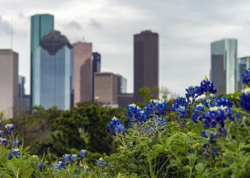 don't-let-one-guy-on-twitter-lie-to-you:-houston's-in-the-south