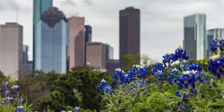 don't-let-one-guy-on-twitter-lie-to-you:-houston's-in-the-south