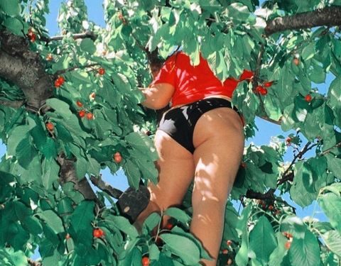 farm-booty:-an-instagram-ode-to-farmers'-butts