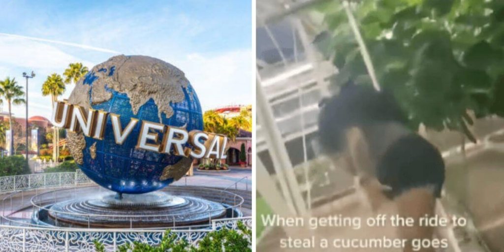 universal-calls-out-disney's-cucumber-bandit-on-twitter