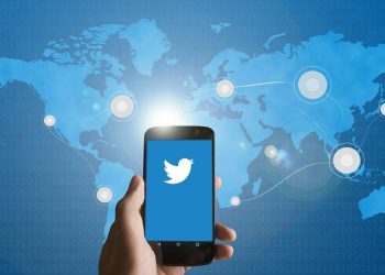 loni-assault-case:-court-grants-relief-to-twitter-india-chief-in-police-probe