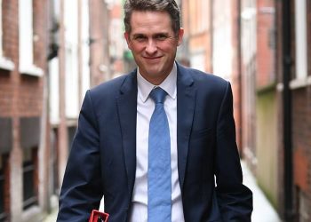 facebook-is-accused-of-helping-to-'brainwash'-children-as-young-as-five-with-maths-lessons-that-…