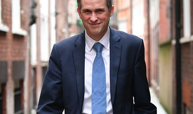 facebook-is-accused-of-helping-to-'brainwash'-children-as-young-as-five-with-maths-lessons-that-…