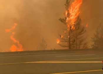 more-than-a-third-of-heat-related-deaths-are-caused-by-climate-change-making-extreme-weather-…