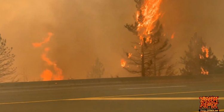 more-than-a-third-of-heat-related-deaths-are-caused-by-climate-change-making-extreme-weather-…