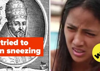 14-funny-tumblr-posts-that-also-have-wild-historical-facts