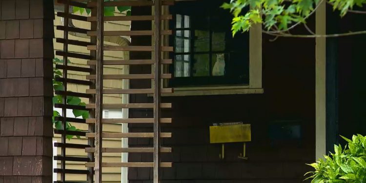 learn-more-about-eviction-moratorium-during-pisgah-legal's-facebook-live